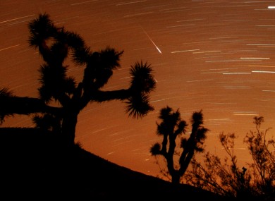 Several Leonids meteors are seen streaking through the sky over Joshua Tree National Park, California USA.