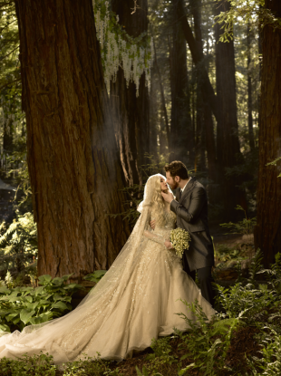 The bride and groom in the giant redwood forest where construction took place.