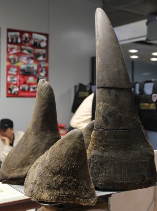 Seized rhino horns (File photo)