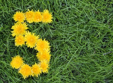 The 5 at 5