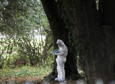 An investigator at the scene of the killing in November 2013.