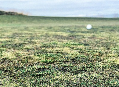 Poulter's pic shows just how bad the greens were.
