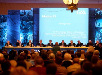 Delegates vote at last year's Congress in the Slieve Russell Hotel in Cavan.