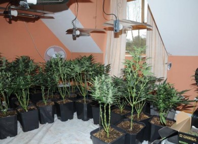 Images of the grow house in Carlow