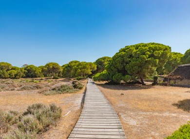 Donana National Park which is a Unesco World Heritage Site.