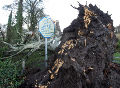 Storm Fionn-related damage in Athgarvan, Co Kildare this week.