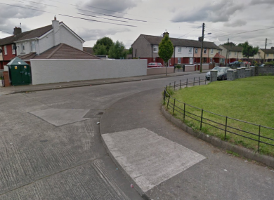 A section of Dunsink Park in Finglas.