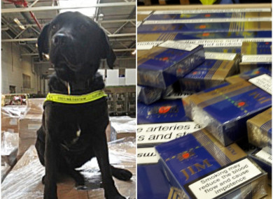 The seizure was made at a business premises in Meath yesterday.