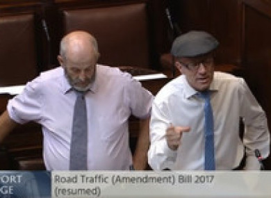 TDs Danny and Michael Healy-Rae