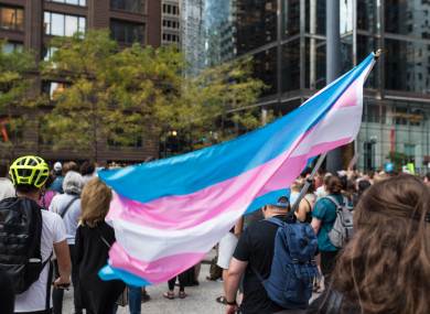 Transgender pride flag