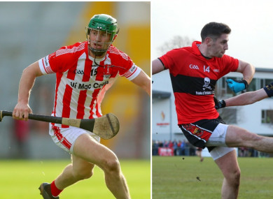 Seamus Harnedy and Paul Geaney have both won county senior medals in Cork.