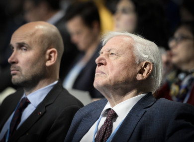 Attenborough during the COP24 UN Climate Change Conference 2018