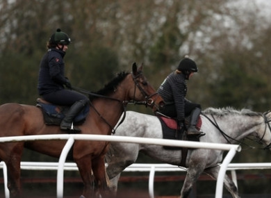 Race horses from a yard in Worcestershire.
