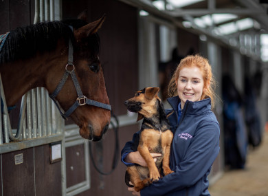 Leanne Holton with Logan the dog and one of Gordon Elliot's new unnamed horses this week.