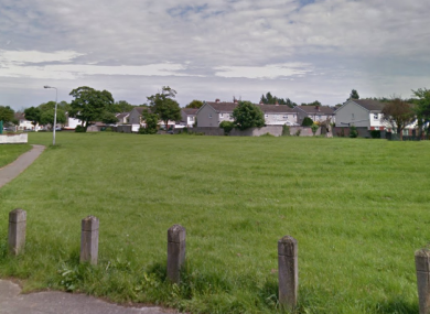 Gardaí say four men are belived to have escaped on foot across this field.