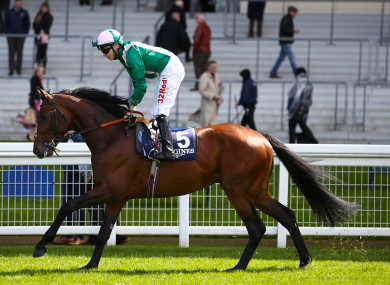 Raheen House races at York tomorrow.