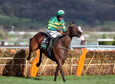 Espoir D'Allen in full flight at the 2019 Cheltenham Festival.