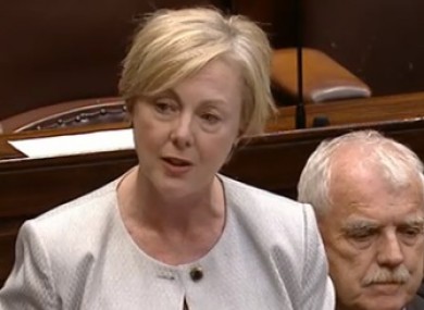 The minister says she has no option but to appeal the report's findings in court.