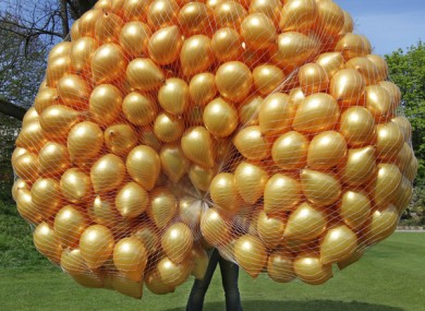 Sinn Féin voted to ban balloon releases today at the party's Ard Fheis.