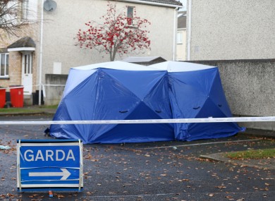 The scene where the burnt-out car wa found in Lucan in November.