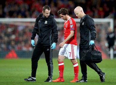 Joe Allen won't feature in this year's Euros.