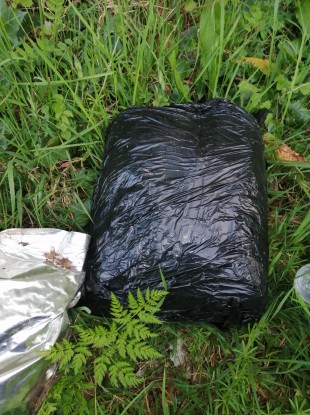 Some of the seized drugs.