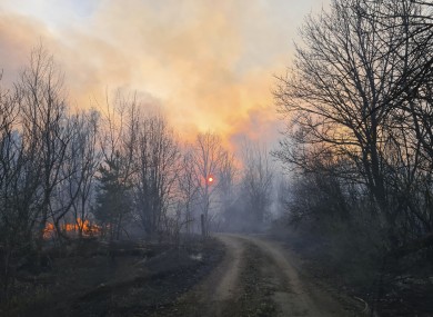 A forest fire burning near the village of Volodymyrivka, in the exclusion zone around the Chernobyl nuclear power plant, earlier in April