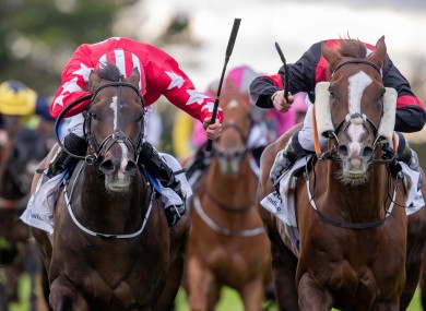 Saltonstall just in front of Njord in the Colm Quinn BMW Mile Handicap.