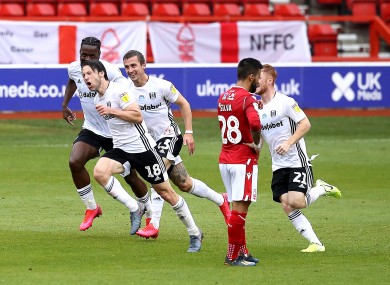 Fulham's Harry Arter (second left) celebrates scoring.