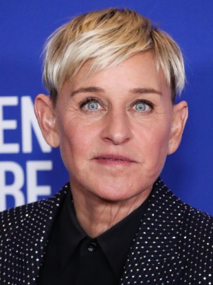 Ellen DeGeneres pictured at the 77th Annual Golden Globe Awards in LA in January.