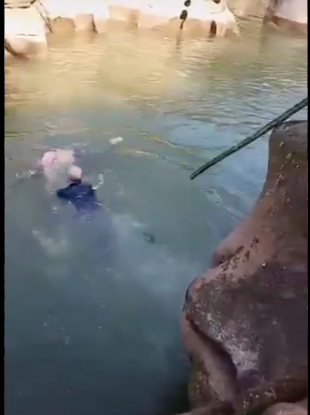 A screengrab of the rescue posted on social media.