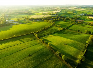 Rural Independet TD Carol Nolan said personal insolvency practitioners and farming organisations have been