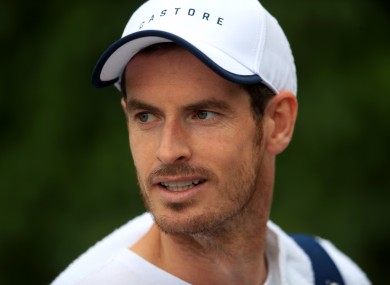 Andy Murray (file pic).