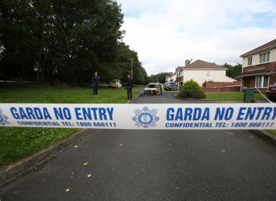 Wayne Whelan was shot a number of times while in his car in at Griffeen Glen Park, Lucan.