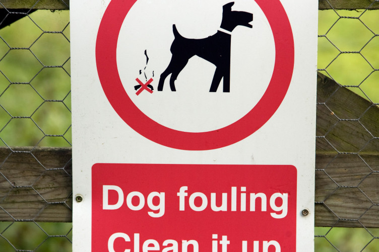Is It An Offence Not To Pick Up Dog Poop