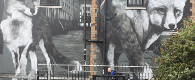 Mural of two city foxes by artist Shane Sutton on Dorset street in Dublin today.