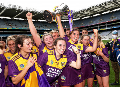 Wexford players celebrate with the trophy.