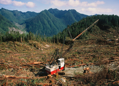 Deforestation of Temperate Rainforest