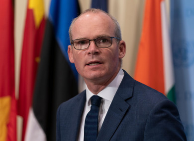 Minister Simon Coveney has previously said that he has no issue with appearing before a committee to answer questions on the matter.
