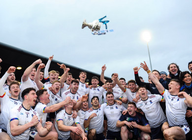 UL players celebrate their Fitzgibbon Cup final win.