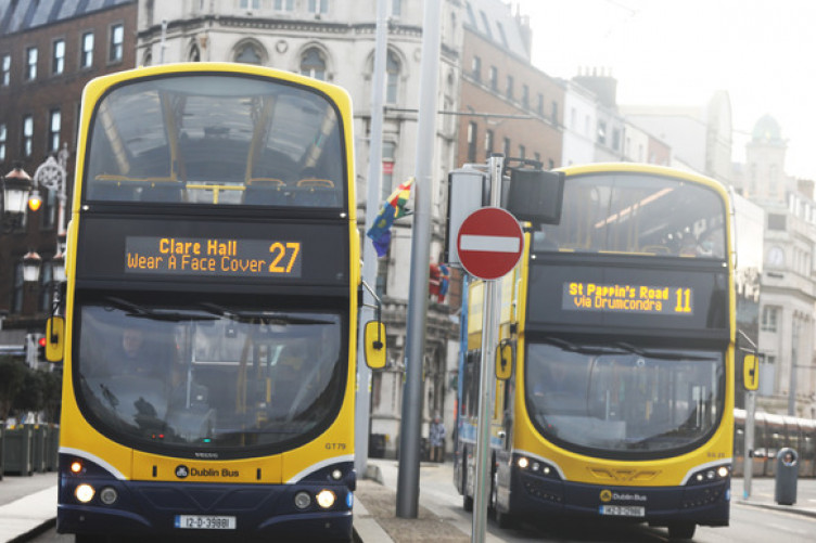 Can You Bring Dogs On Dublin Bus