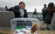 Millions return home as Pacific tsunami warnings lifted
