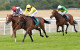 Waardah steps up to take Lillie Langtry honours at Goodwood