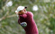Rory McIlroy savours ‘pretty cool year’ 