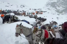 Remaining stranded hikers rescued near Everest