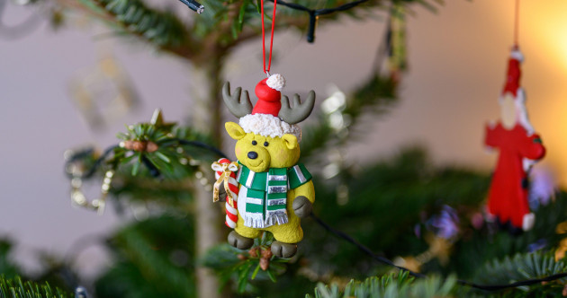 We checked whether Christmas tree prices are up this year - and actually it's pretty good news