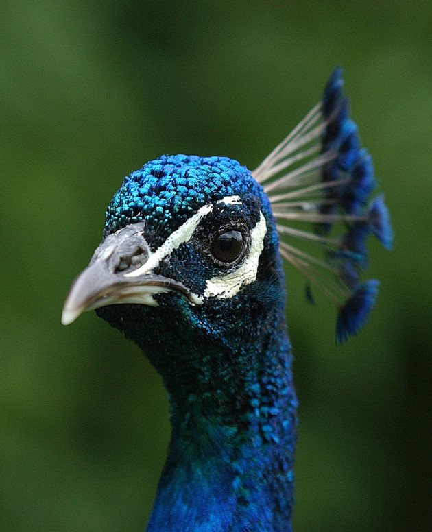 Sorry! Image not available at this time