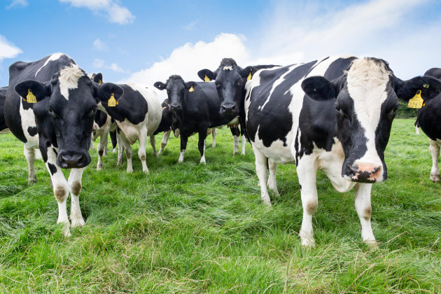 Sorry! Image not available at this time