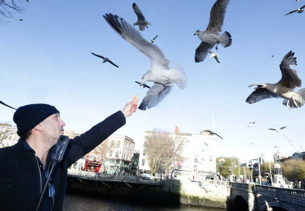 Sorry! Image not available at this time