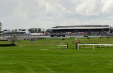 Punchestown mix up sees Enda Bolger-trained horse run in wrong race